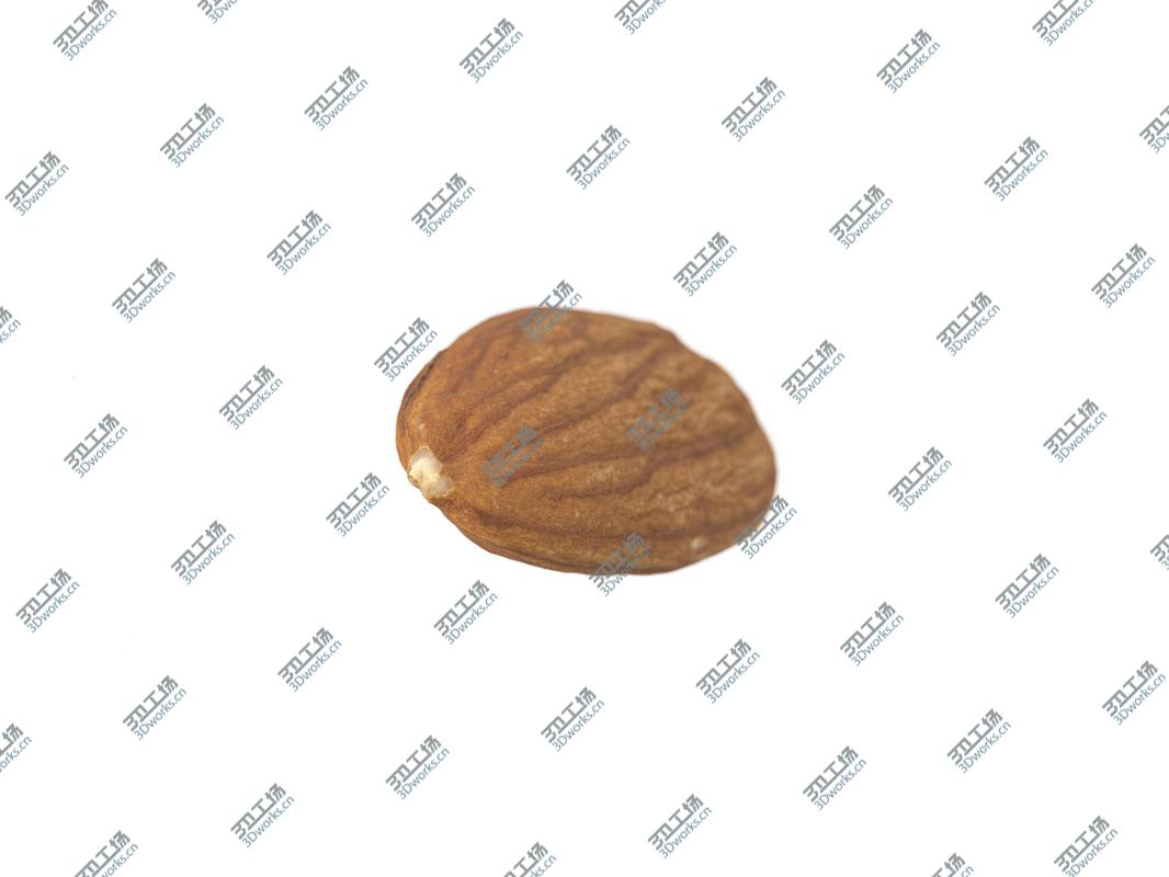 images/goods_img/2021040232/Highly Detailed Almond Scan 3D model/5.jpg
